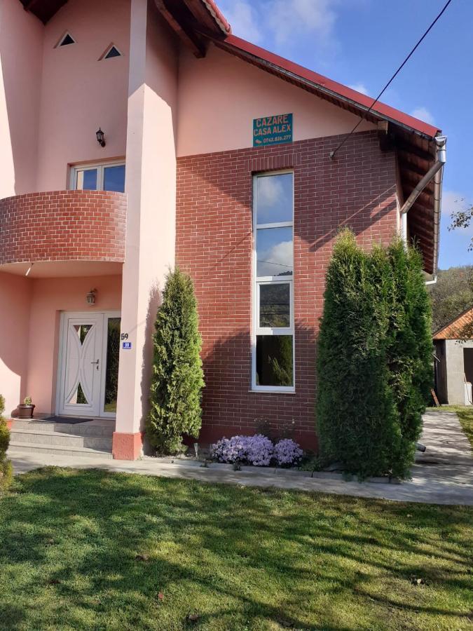 Casa Alex Hotel Vişeu de Sus Exterior foto